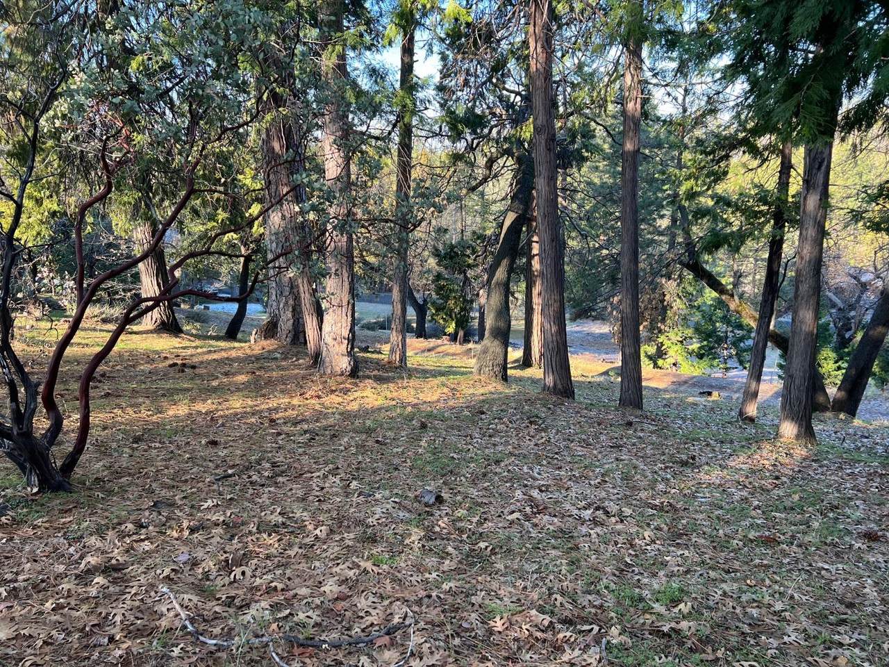 https://bt-photos.global.ssl.fastly.net/sacramento/1280_boomver_2_560835847-2.jpg