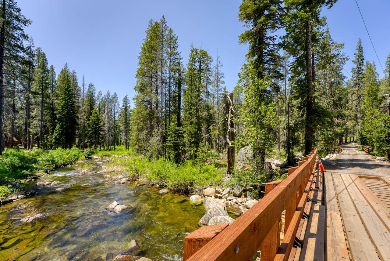 51515 Red Fir Drive - Photo 1