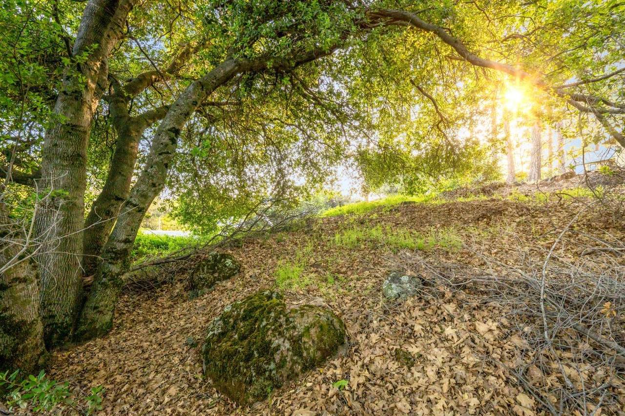 16718 Lena Court - Photo 1