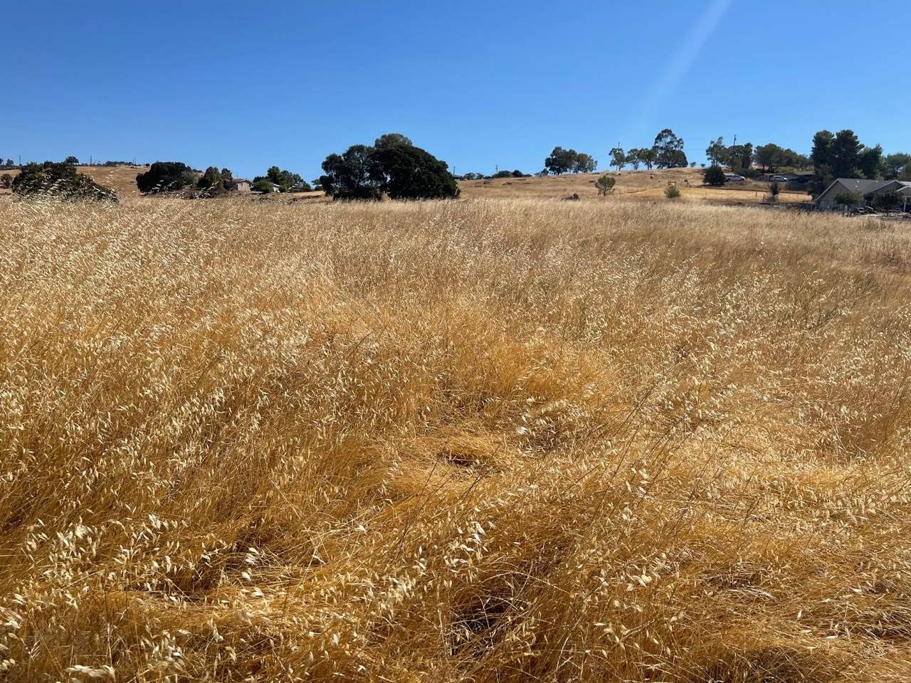 9588 Paraiso Boulevard - Photo 1