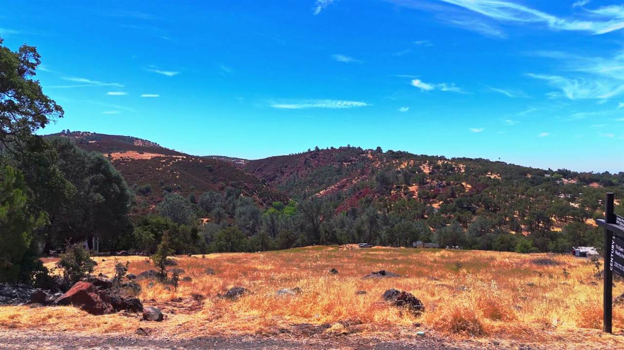 7033 Cane Lane - Photo 1