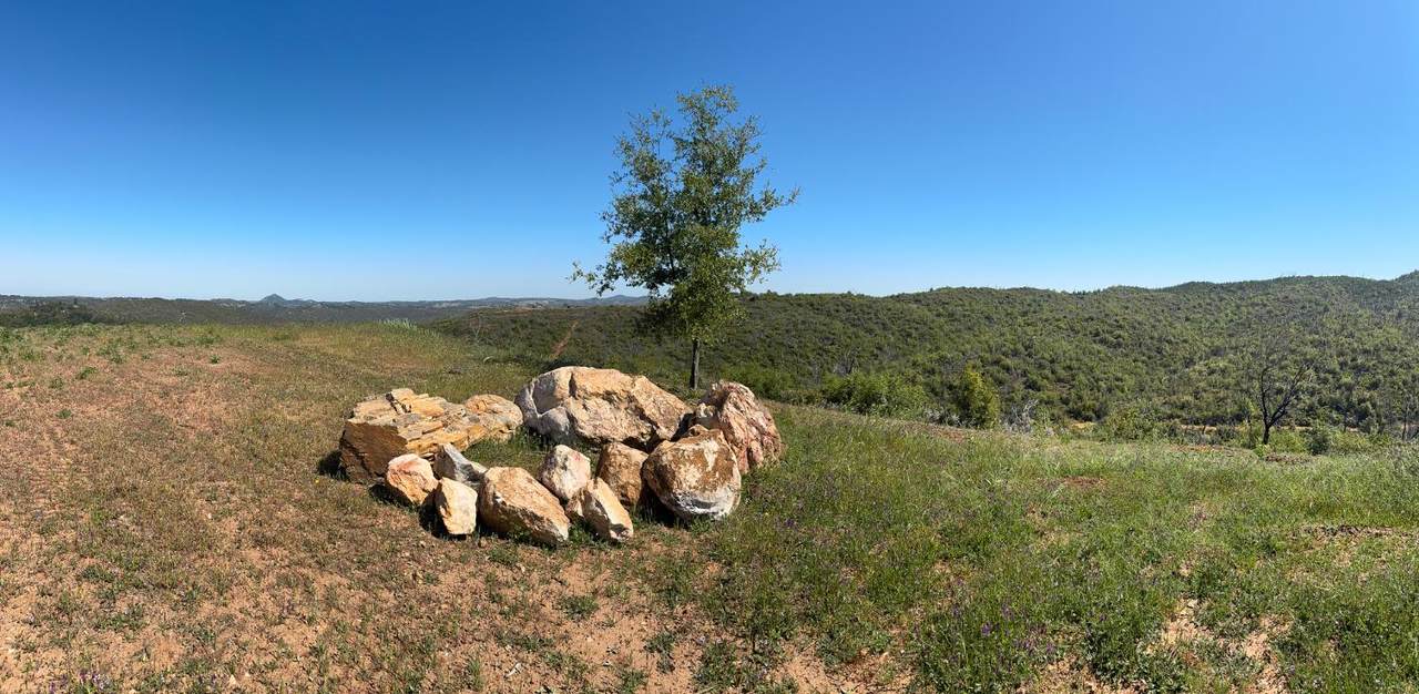 8744 Maranatha Lane - Photo 1