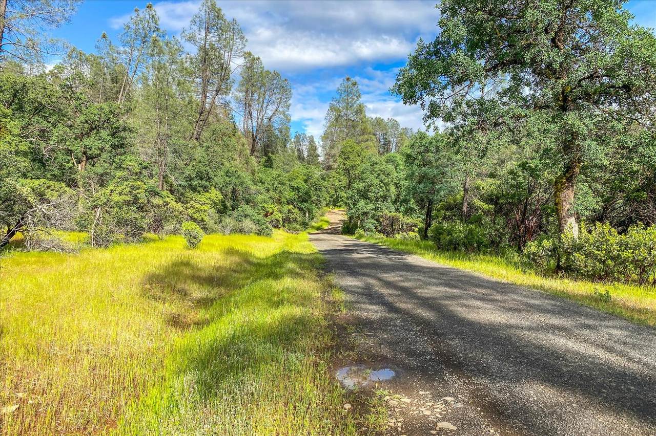 https://bt-photos.global.ssl.fastly.net/sacramento/1280_boomver_2_560859323-2.jpg