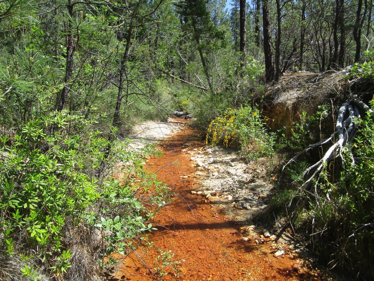 15699 Tyler Foote Road - Photo 1