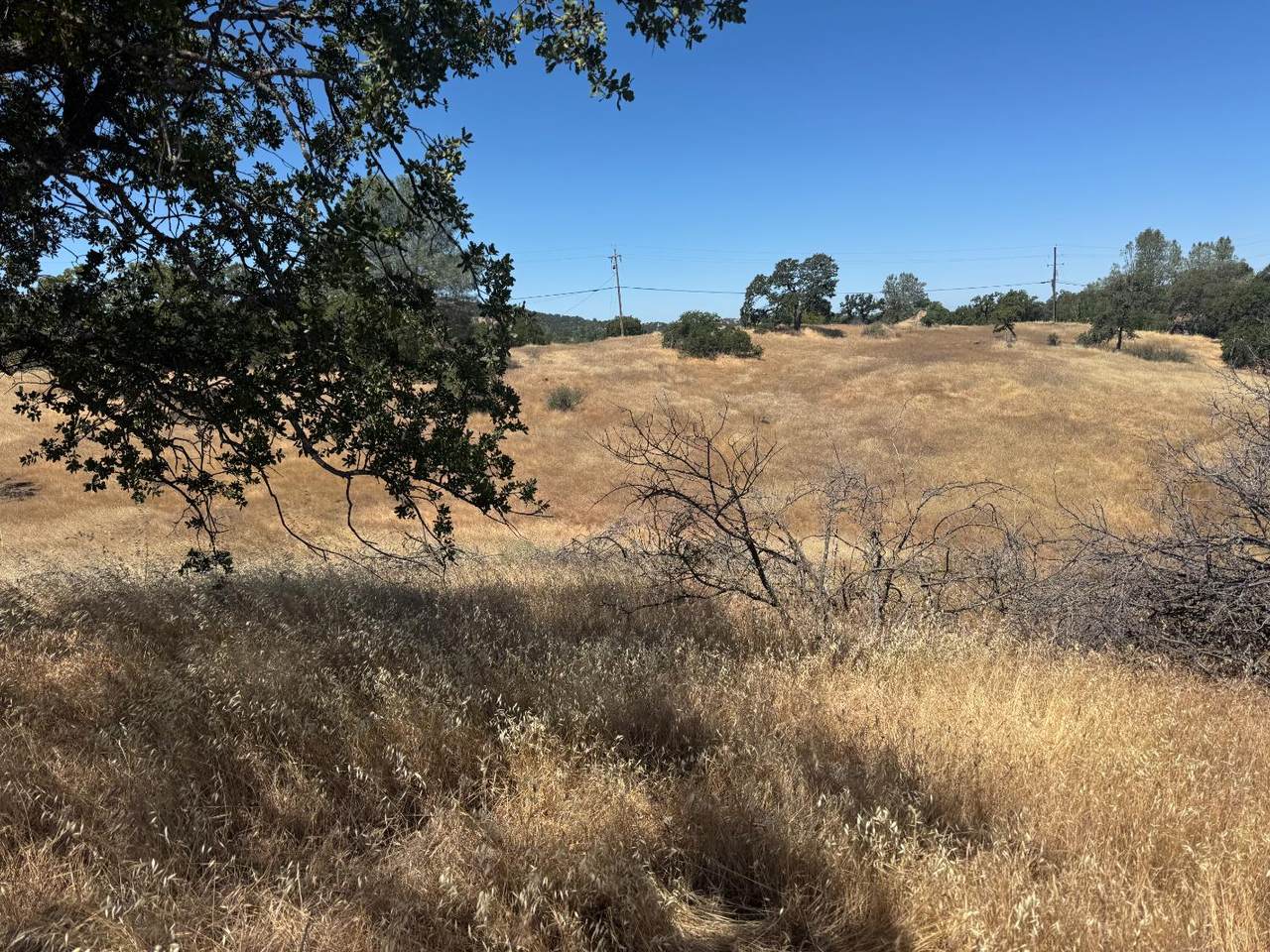 569 Bolivar - Photo 1