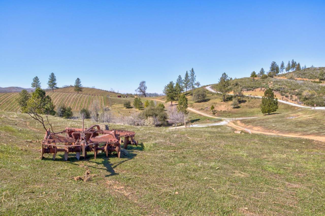 https://bt-photos.global.ssl.fastly.net/sacramento/1280_boomver_2_560865096-2.jpg