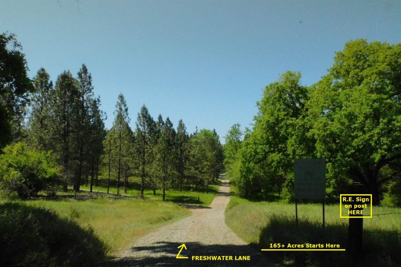 165 Freshwater Lane - Photo 1