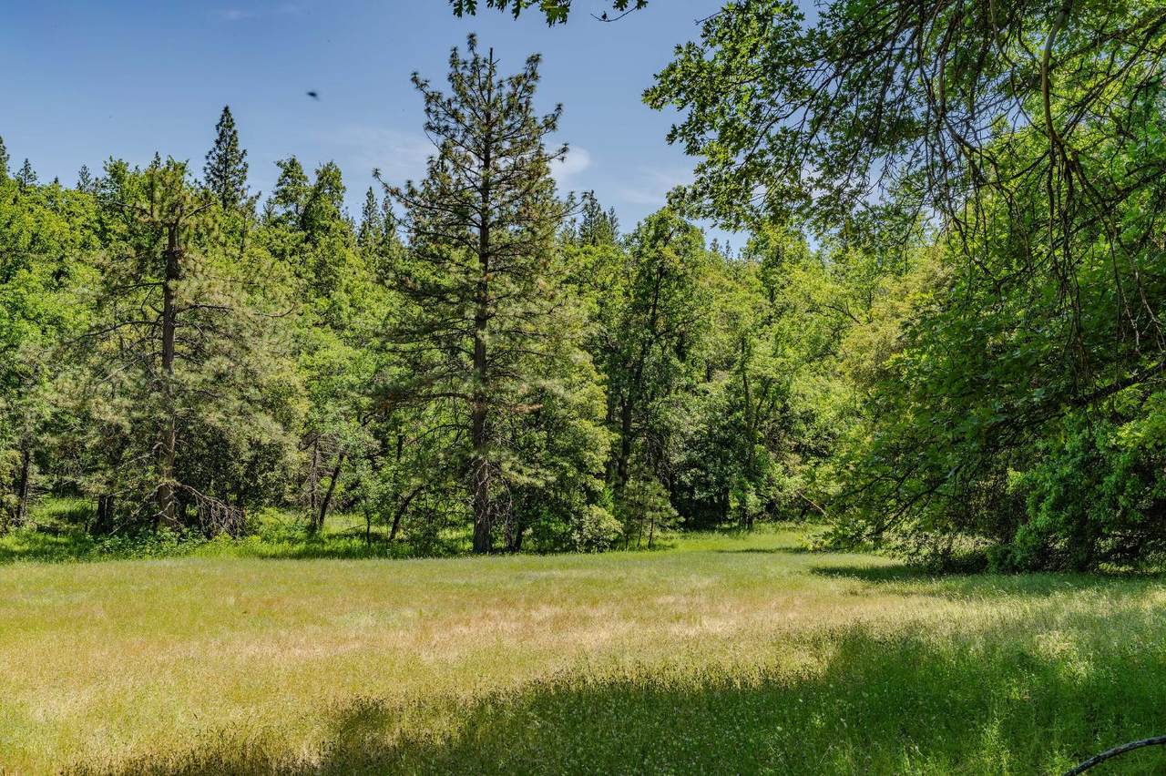https://bt-photos.global.ssl.fastly.net/sacramento/1280_boomver_2_560886744-2.jpg