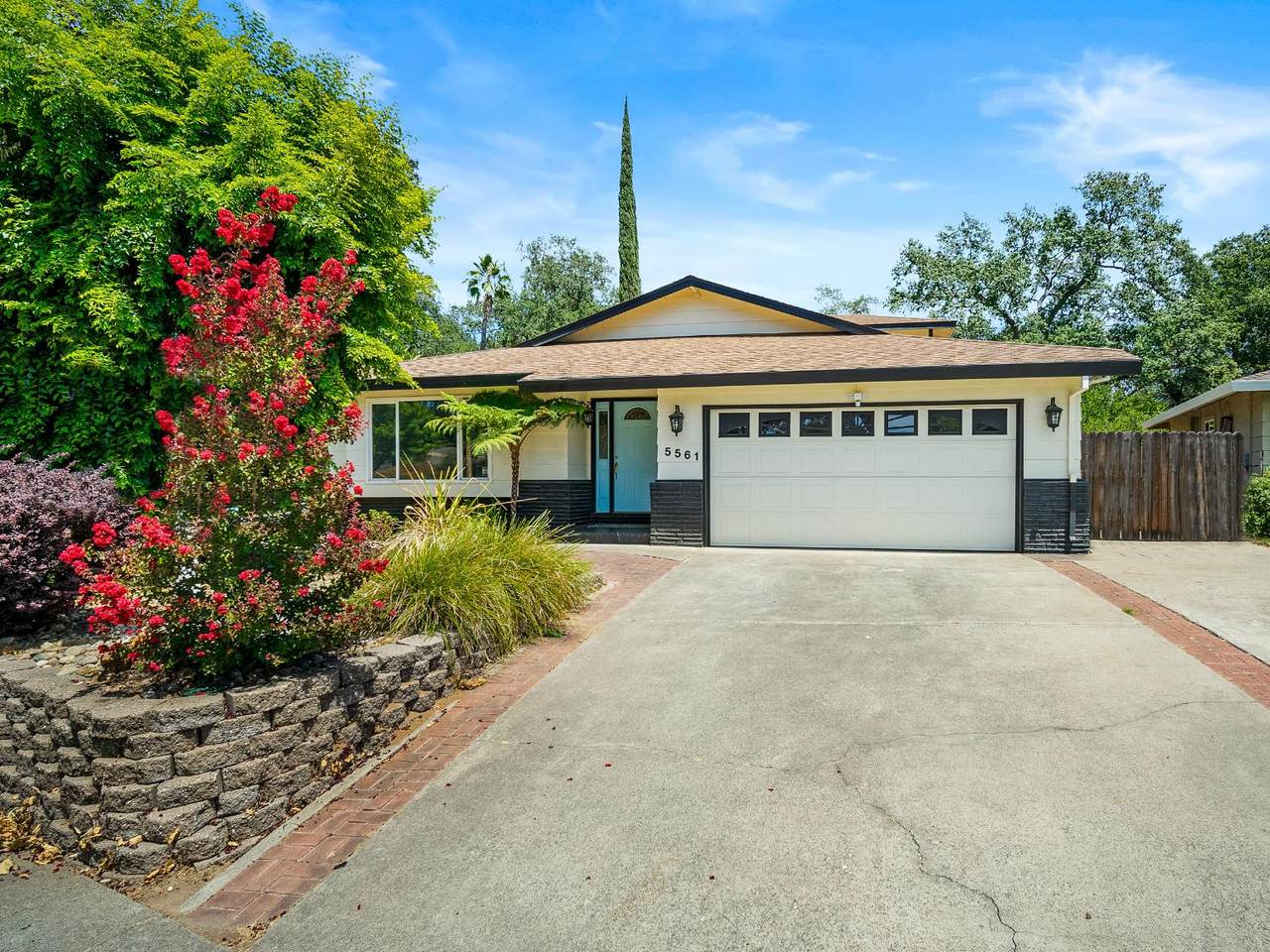 5561 White Fir Way - Photo 1
