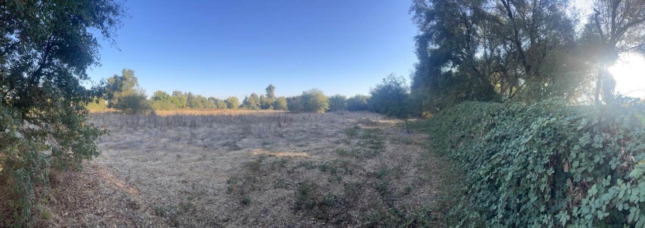 0 Meyer Lane - Photo 1