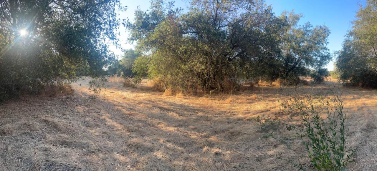 https://bt-photos.global.ssl.fastly.net/sacramento/1280_boomver_2_560901591-2.jpg