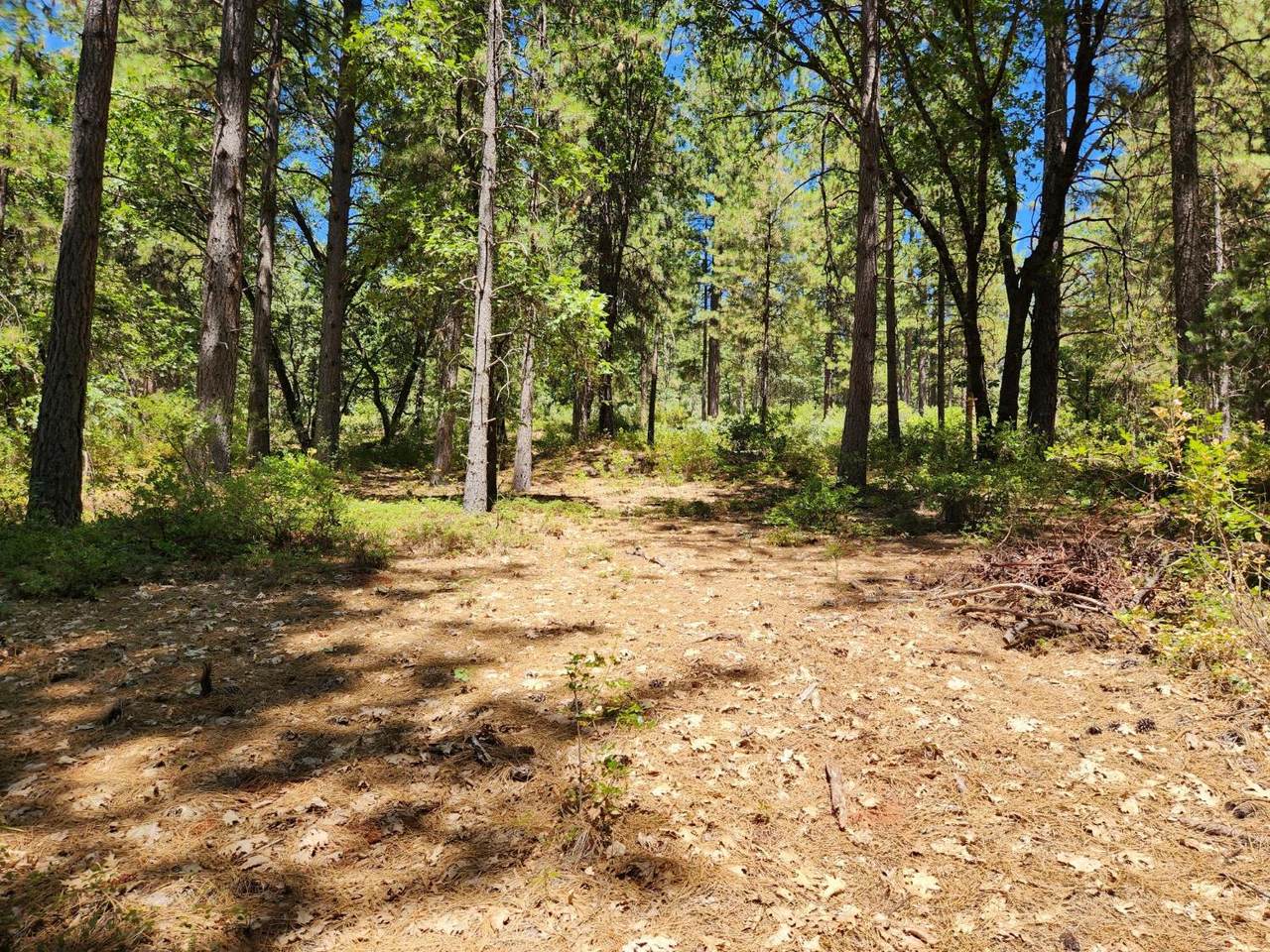 10938 Cole Way - Photo 1