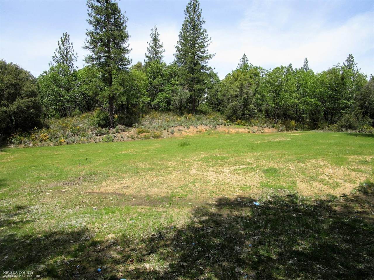 24271 Hoyt Crossing Road - Photo 1