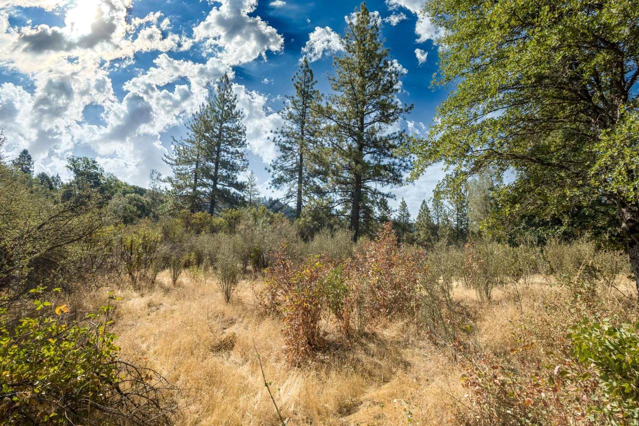 https://bt-photos.global.ssl.fastly.net/sacramento/1280_boomver_2_560913740-2.jpg