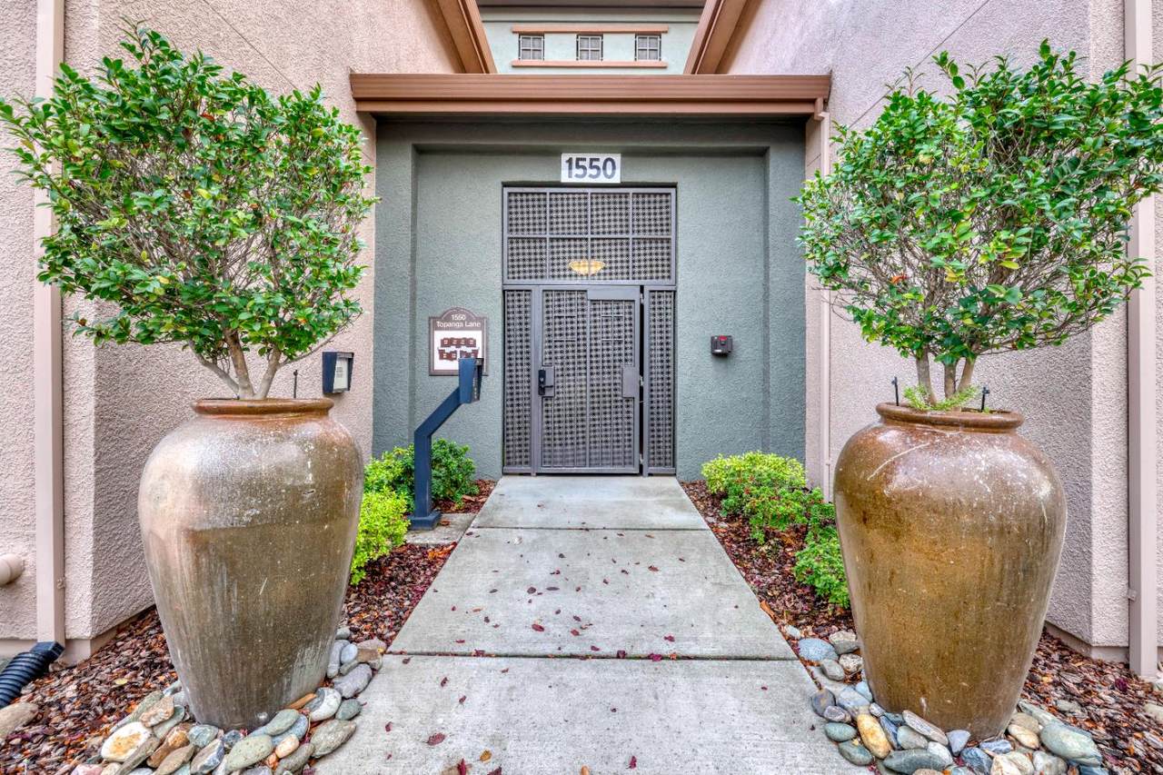 1550 Topanga Lane - Photo 1