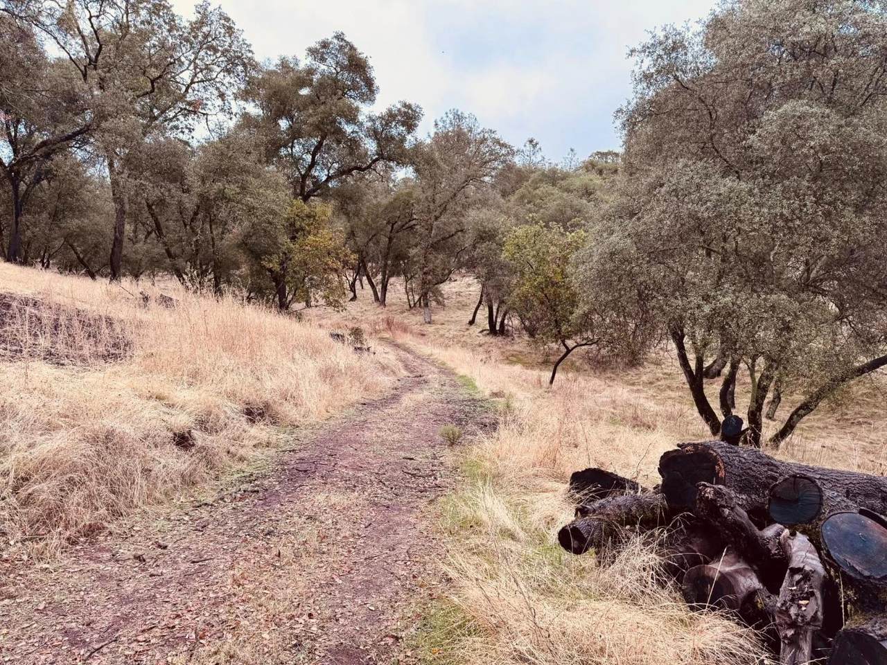 4981 Mourning Dove Lane - Photo 1