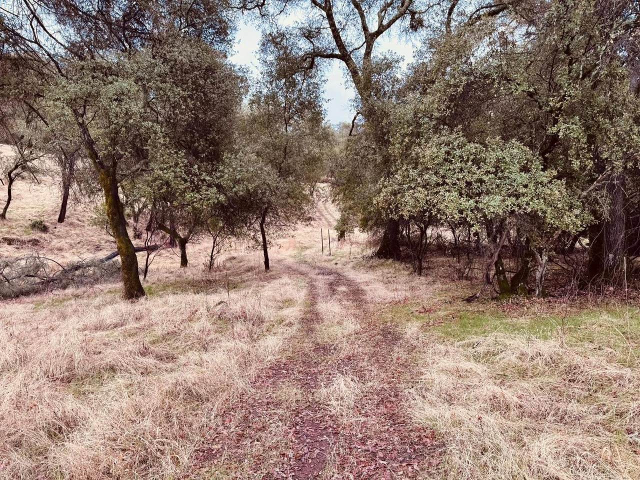 4980 Mourning Dove Lane - Photo 1