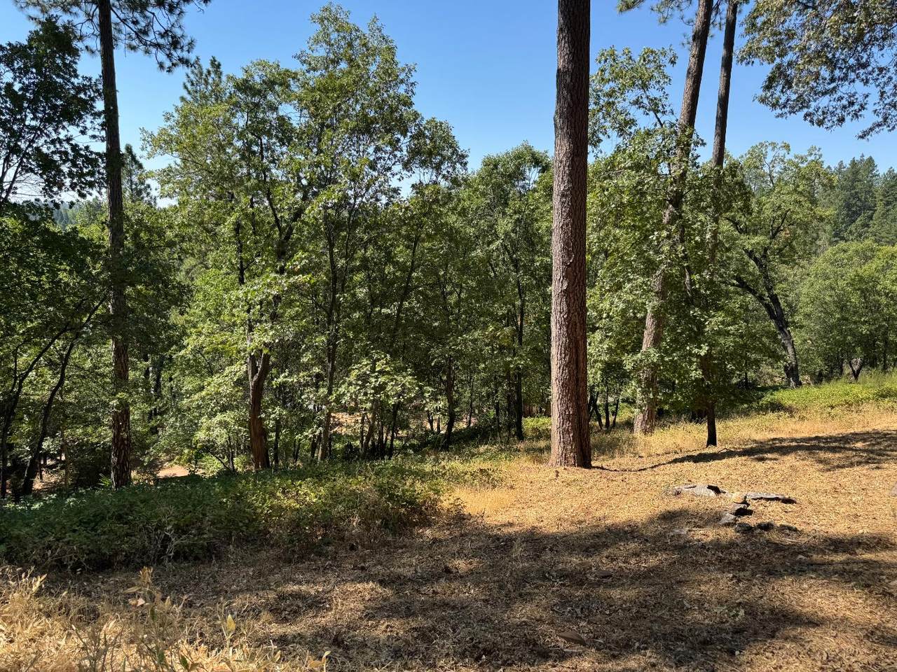 315 Hill Street - Photo 1