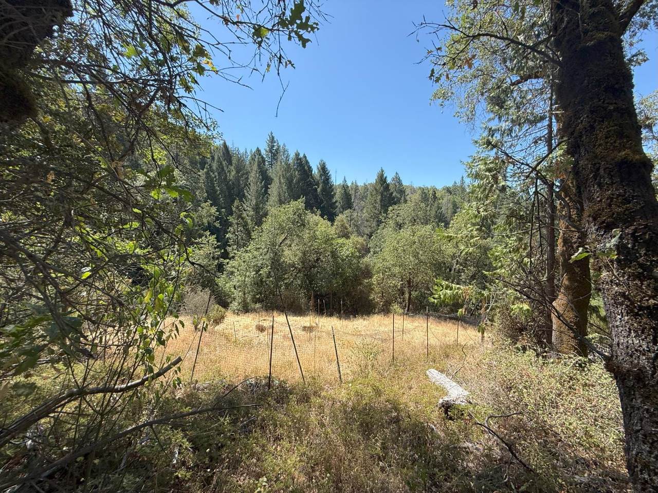 14742 Boquest Drive - Photo 1