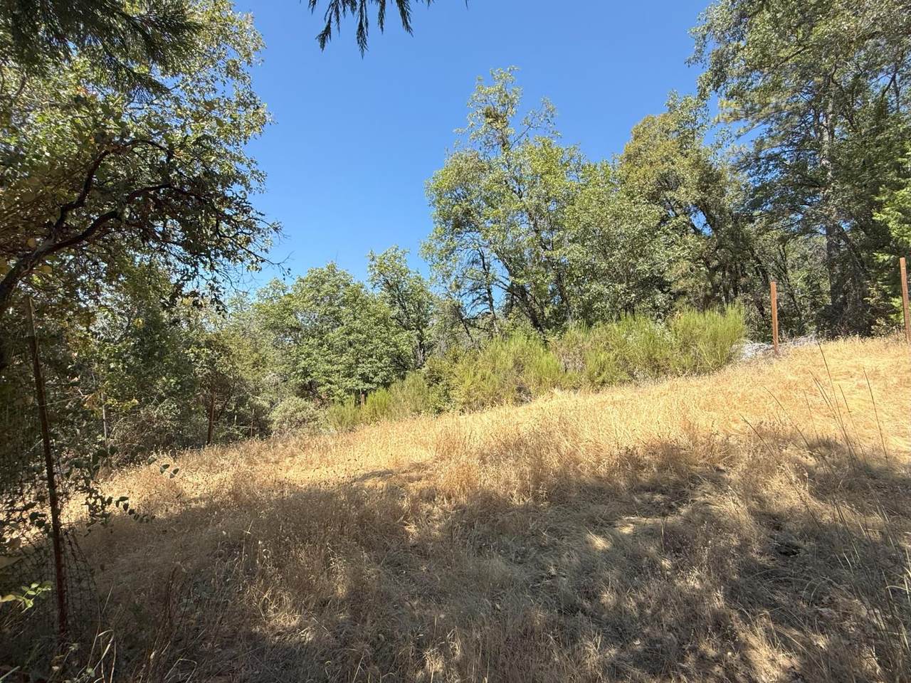 https://bt-photos.global.ssl.fastly.net/sacramento/1280_boomver_2_560924933-2.jpg