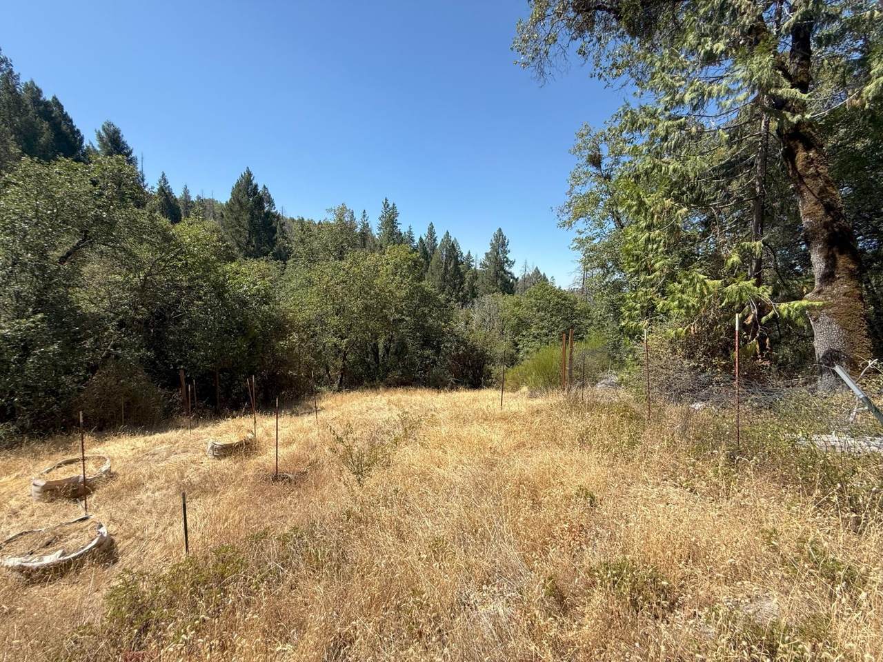 https://bt-photos.global.ssl.fastly.net/sacramento/1280_boomver_2_560924933-2.jpg