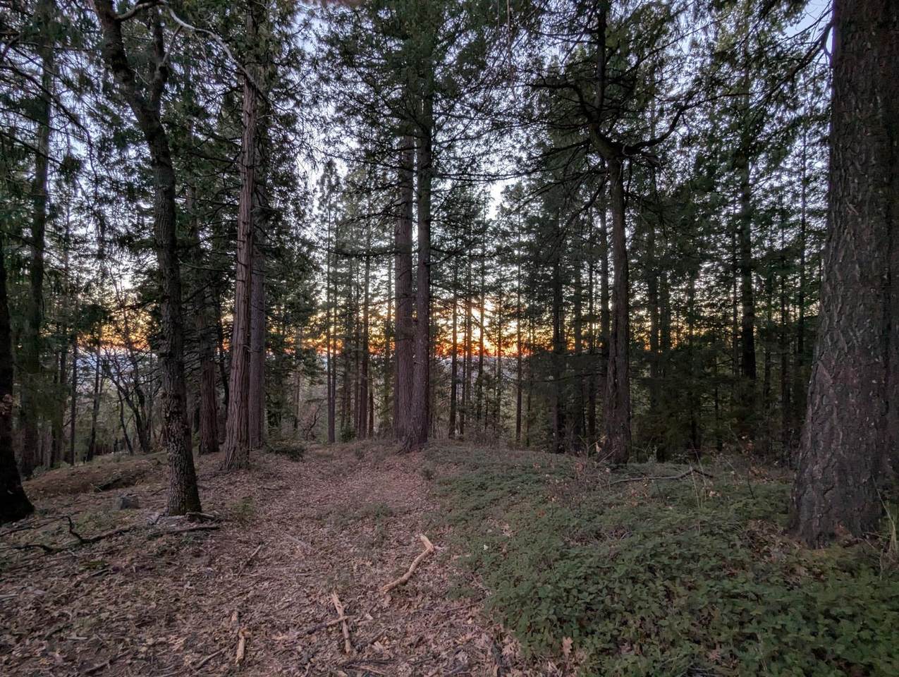 https://bt-photos.global.ssl.fastly.net/sacramento/1280_boomver_2_560926367-2.jpg