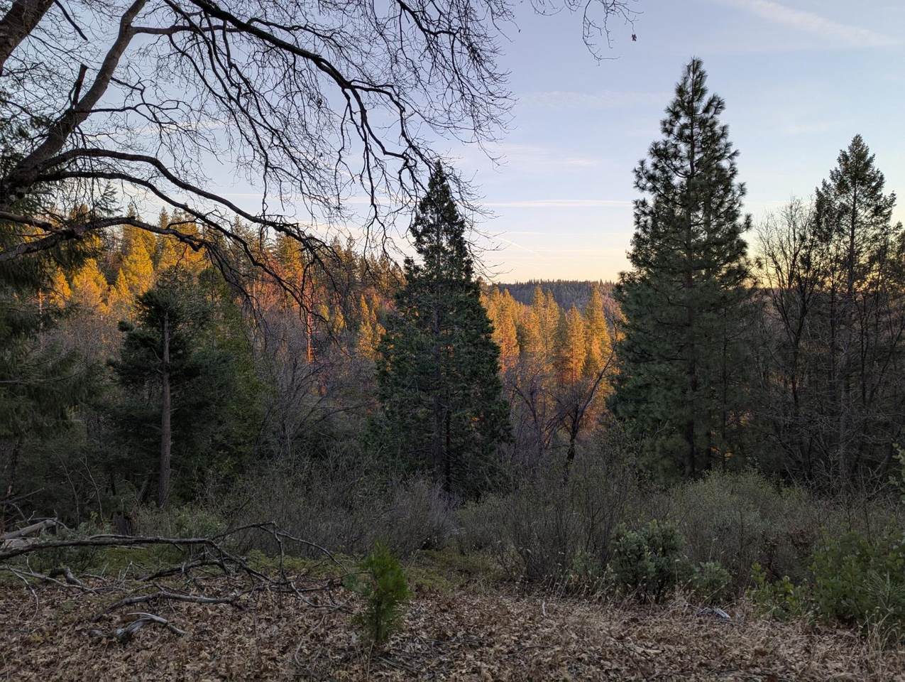 https://bt-photos.global.ssl.fastly.net/sacramento/1280_boomver_2_560926367-2.jpg