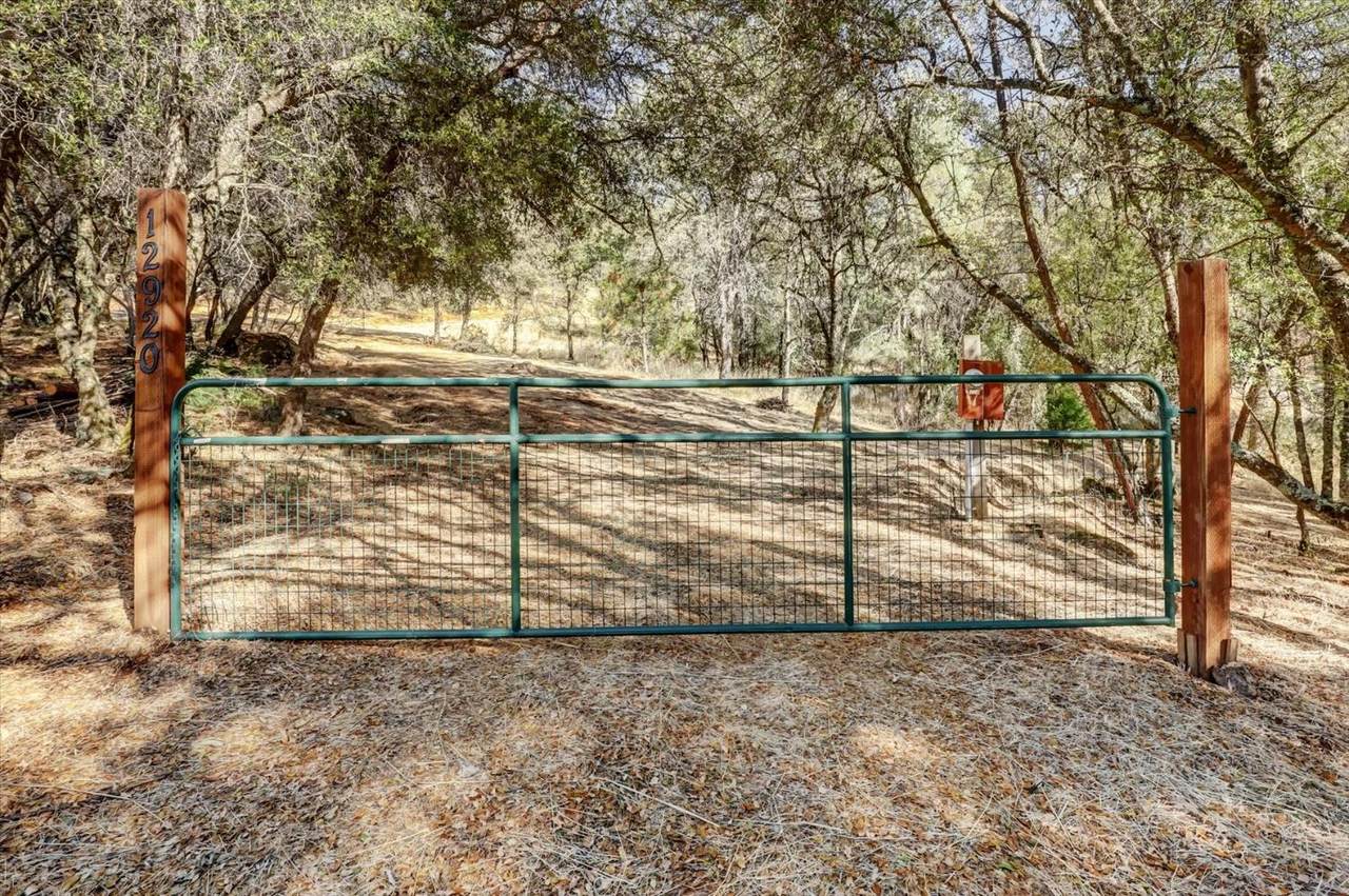 https://bt-photos.global.ssl.fastly.net/sacramento/1280_boomver_2_560939731-2.jpg