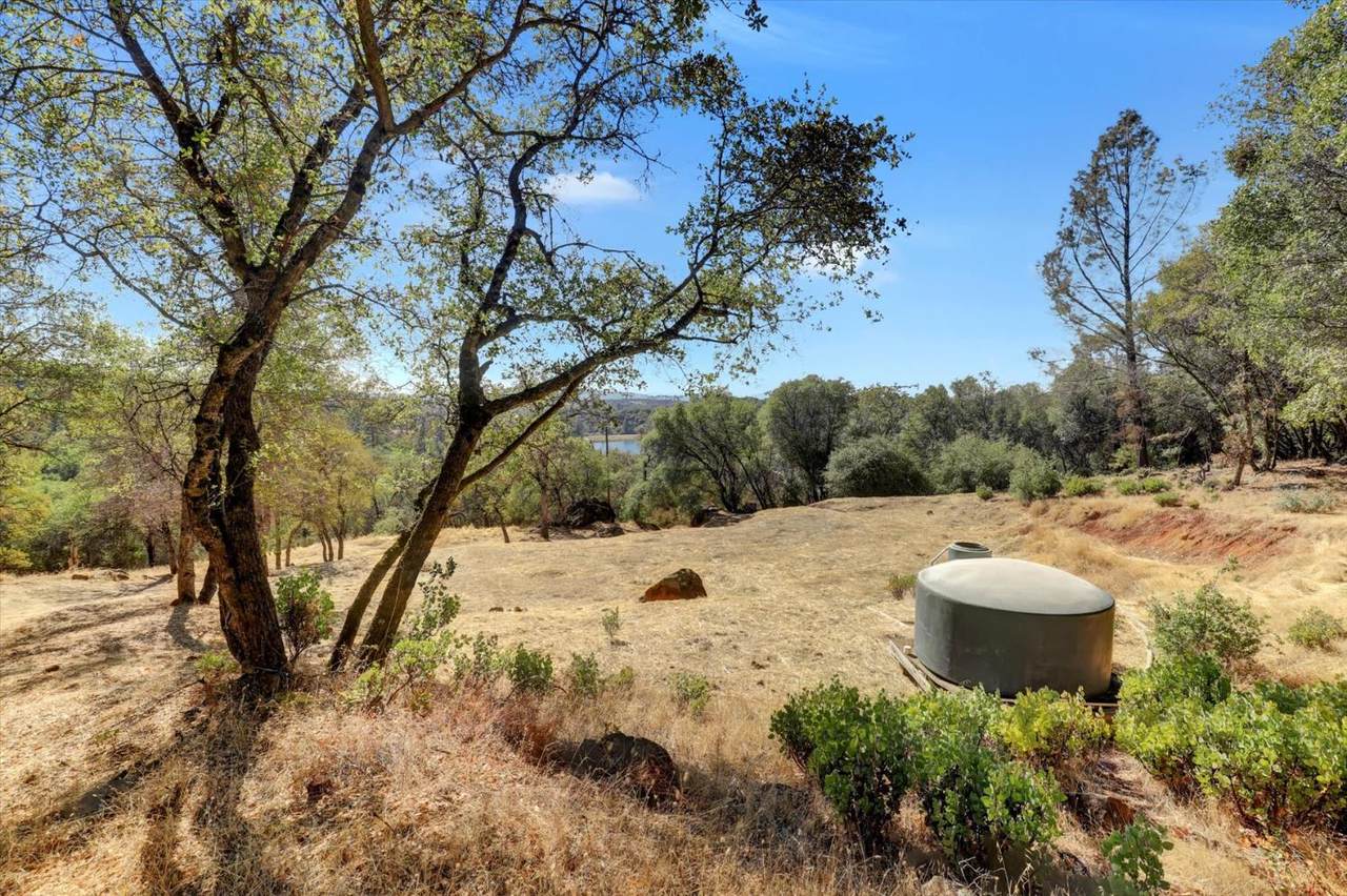 https://bt-photos.global.ssl.fastly.net/sacramento/1280_boomver_2_560939731-2.jpg