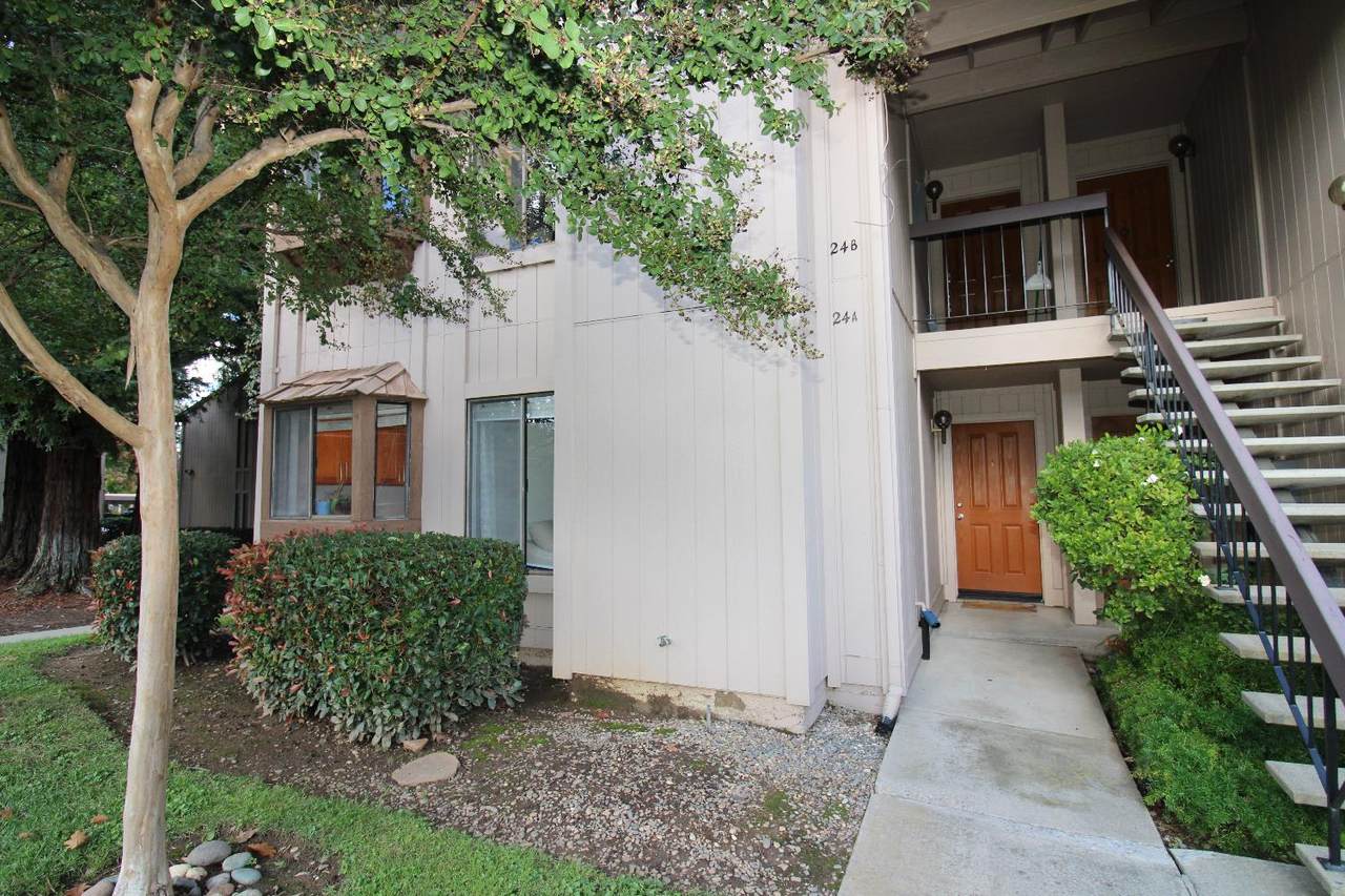 5333 Primrose Drive - Photo 1