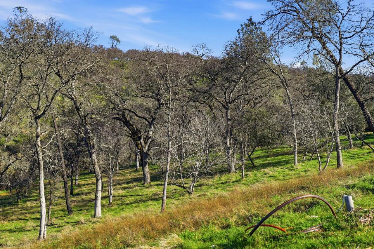 https://bt-photos.global.ssl.fastly.net/sacramento/1280_boomver_2_560948327-2.jpg