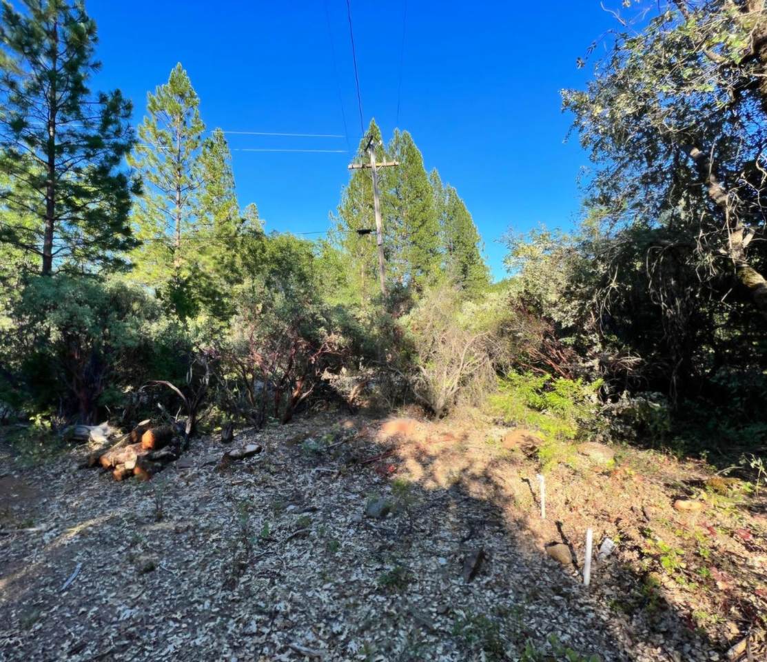 https://bt-photos.global.ssl.fastly.net/sacramento/1280_boomver_2_560949487-2.jpg