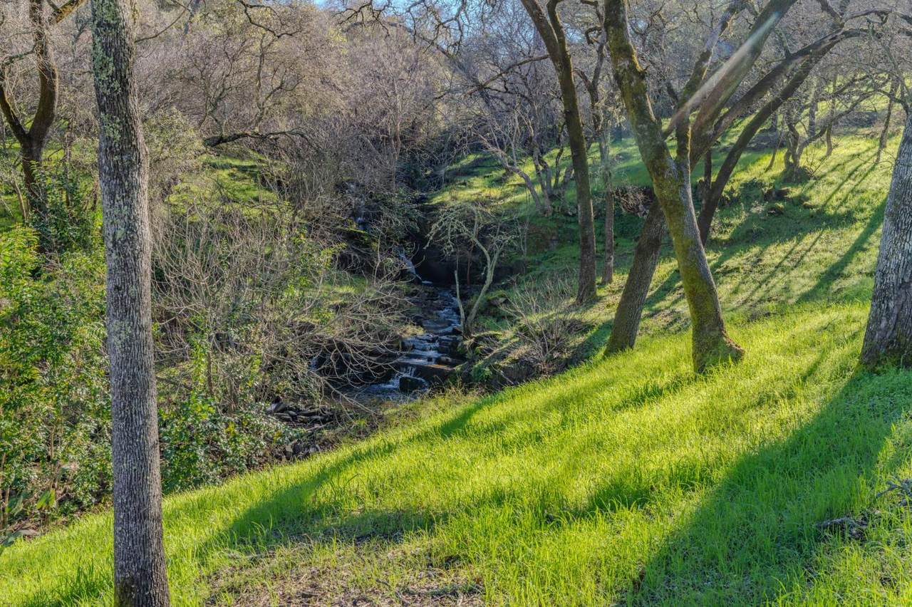 https://bt-photos.global.ssl.fastly.net/sacramento/1280_boomver_2_560953542-2.jpg