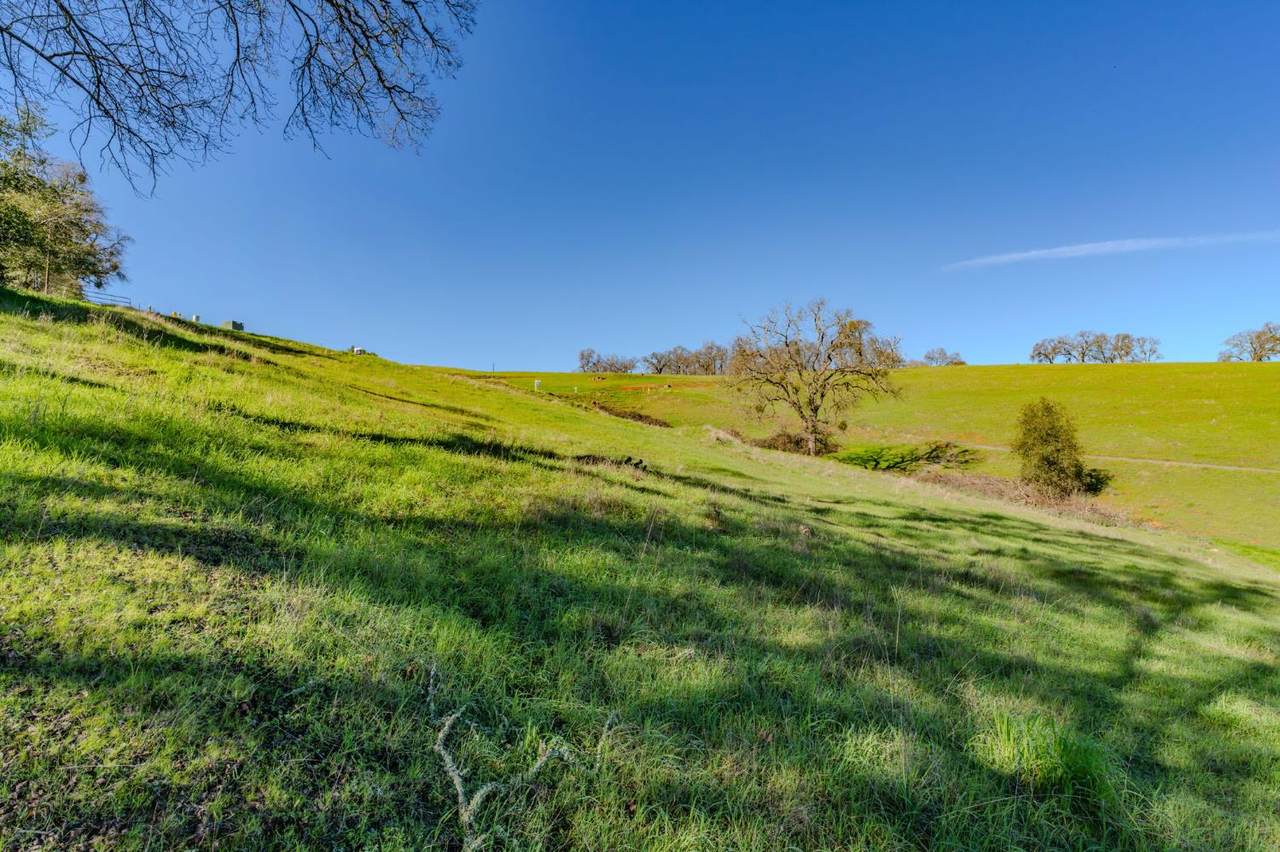 https://bt-photos.global.ssl.fastly.net/sacramento/1280_boomver_2_560953542-2.jpg
