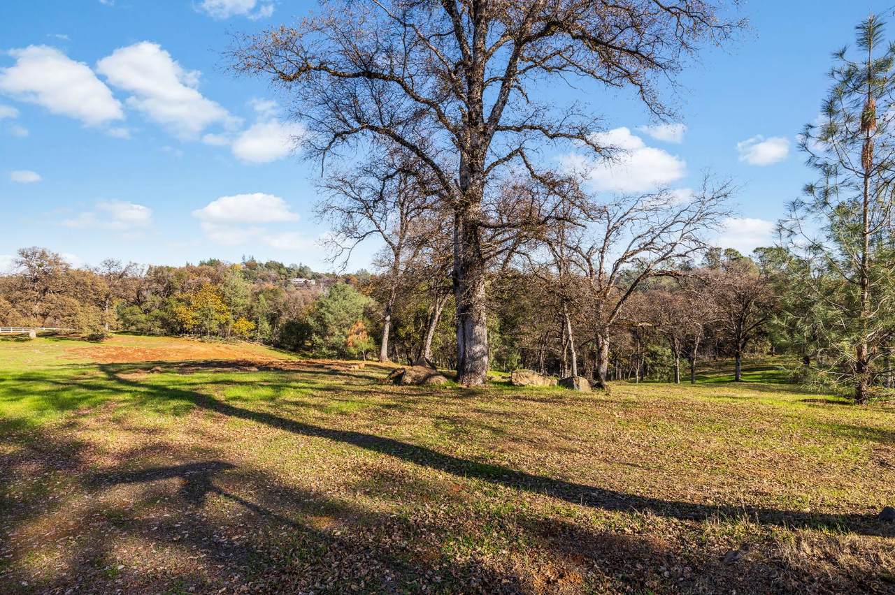 23003 Darkhorse Drive - Photo 1