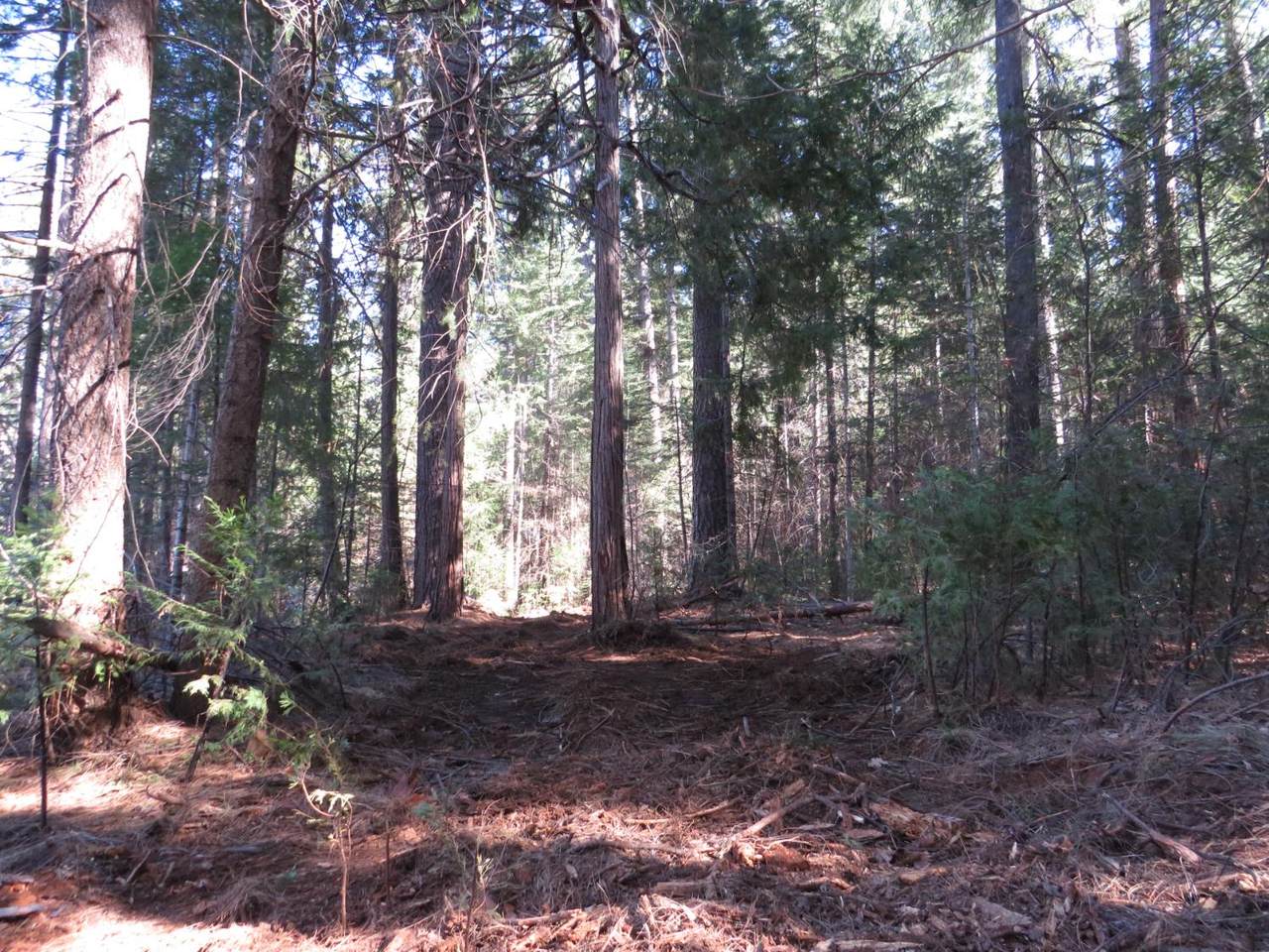 https://bt-photos.global.ssl.fastly.net/sacramento/1280_boomver_2_560957870-2.jpg