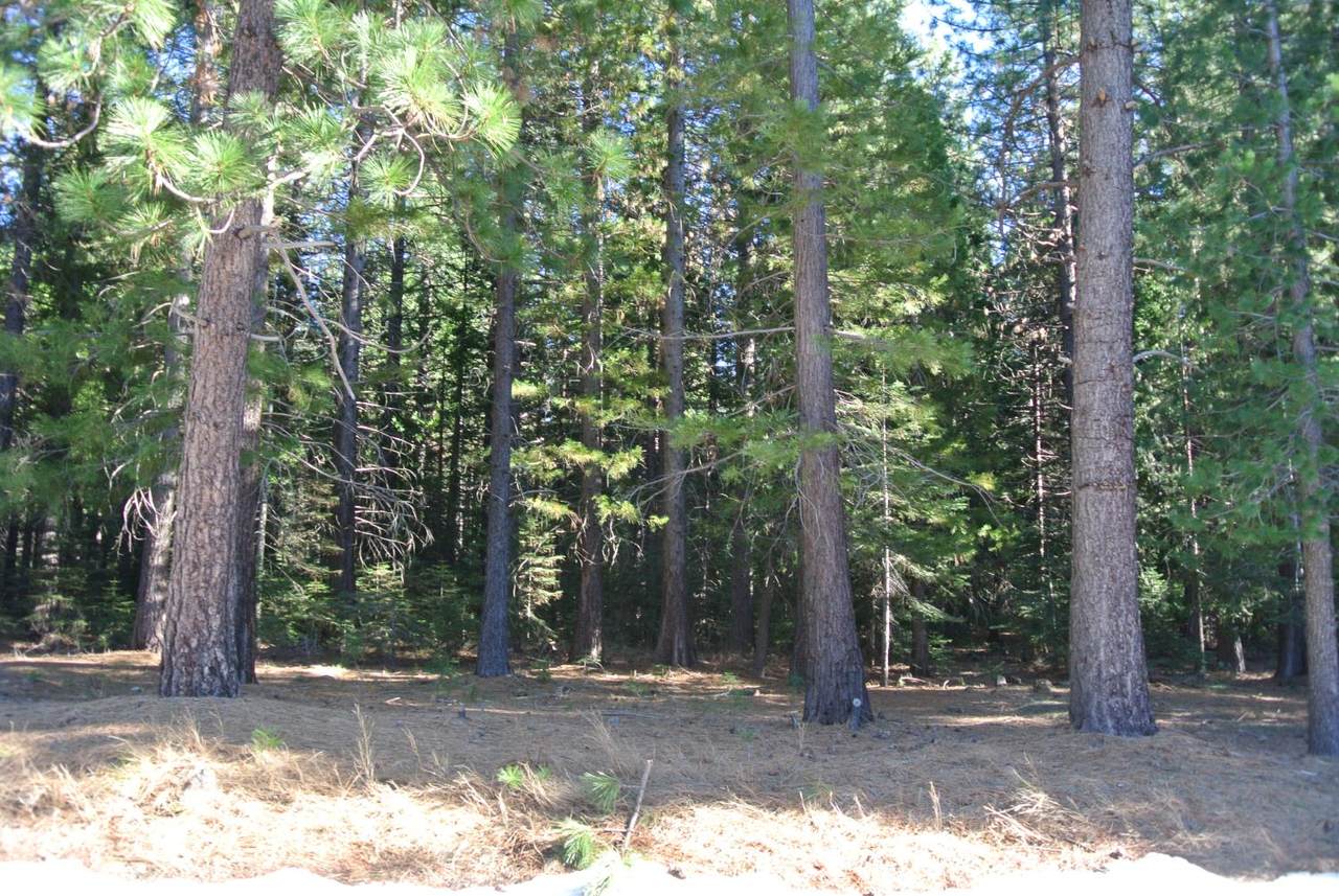 https://bt-photos.global.ssl.fastly.net/sacramento/1280_boomver_2_560959110-2.jpg