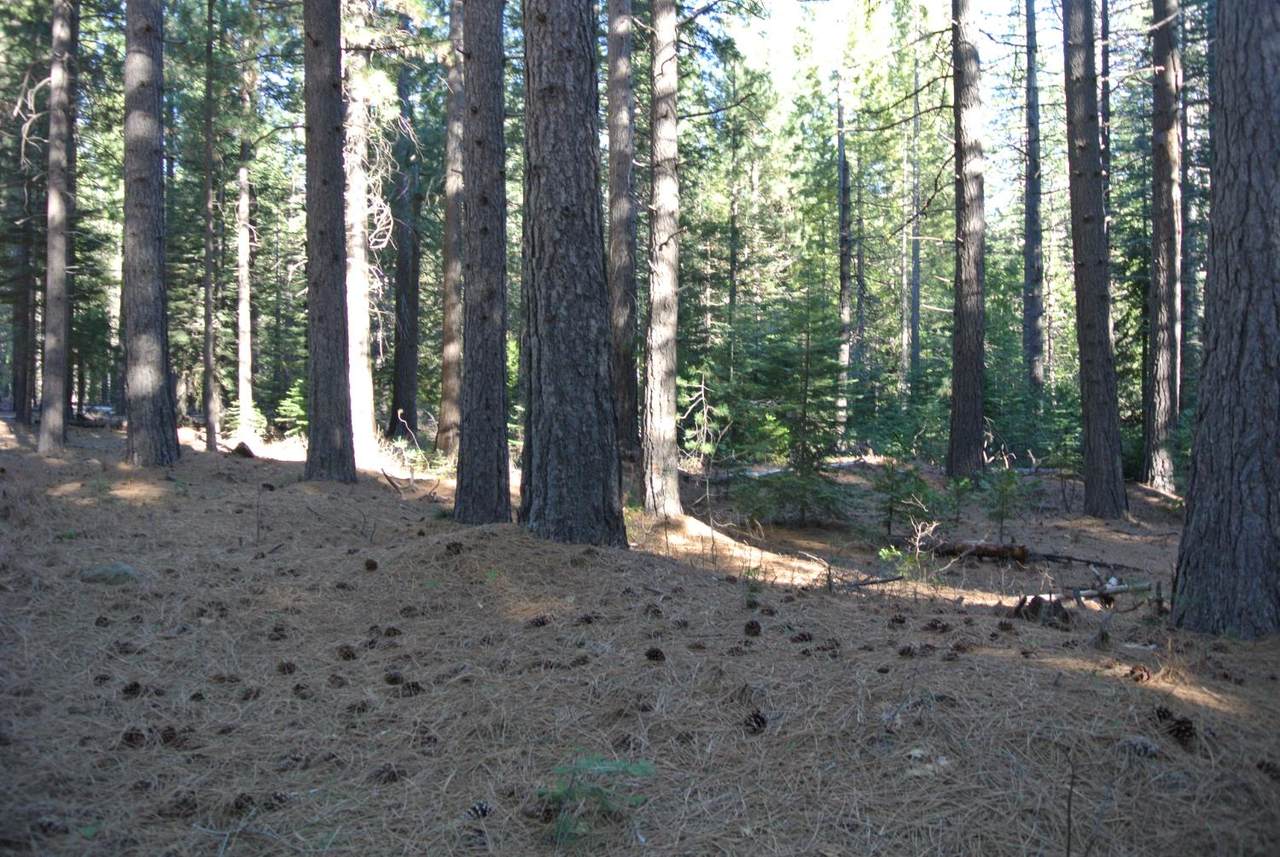 https://bt-photos.global.ssl.fastly.net/sacramento/1280_boomver_2_560959110-2.jpg