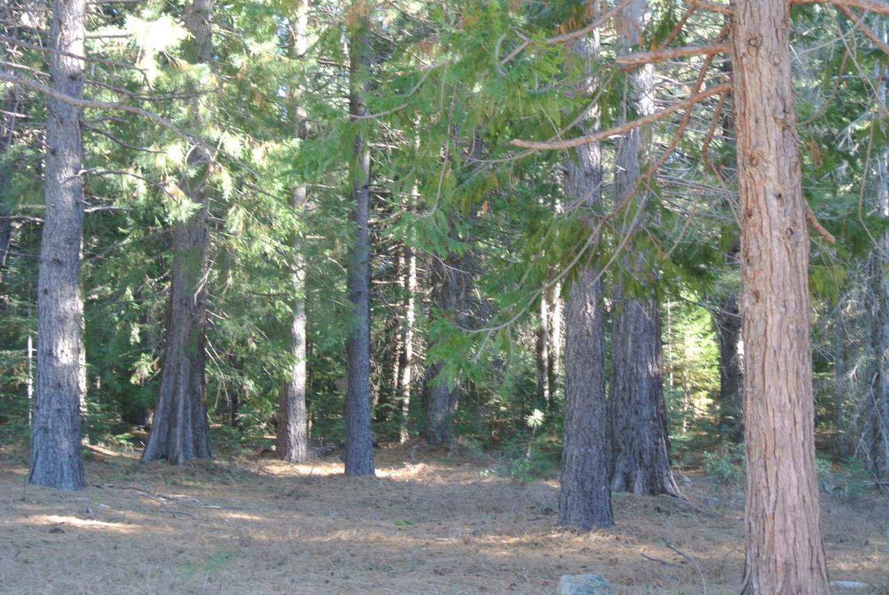 https://bt-photos.global.ssl.fastly.net/sacramento/1280_boomver_2_560959110-2.jpg