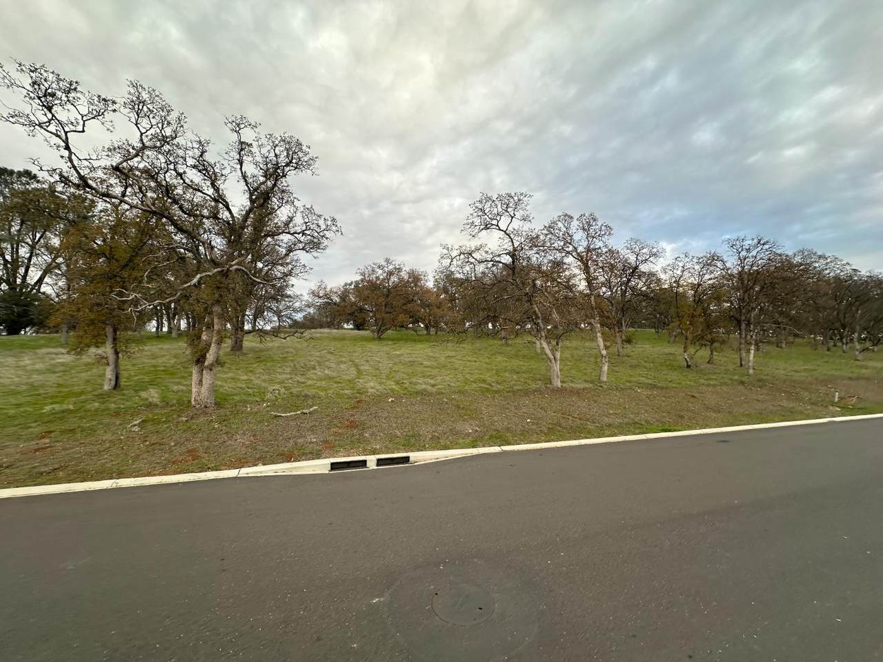 https://bt-photos.global.ssl.fastly.net/sacramento/1280_boomver_3_560961009-2.jpg