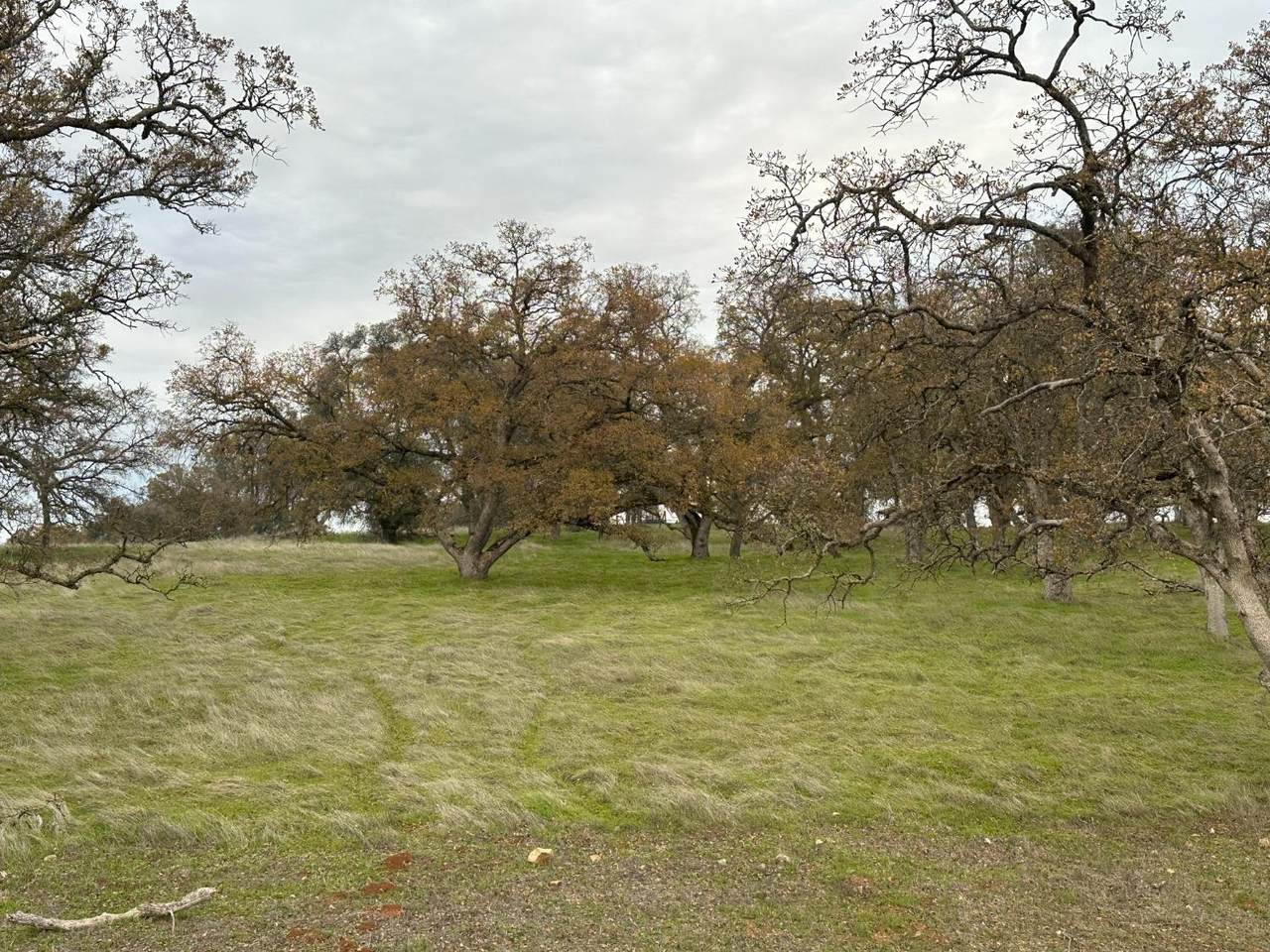 https://bt-photos.global.ssl.fastly.net/sacramento/1280_boomver_3_560961009-2.jpg