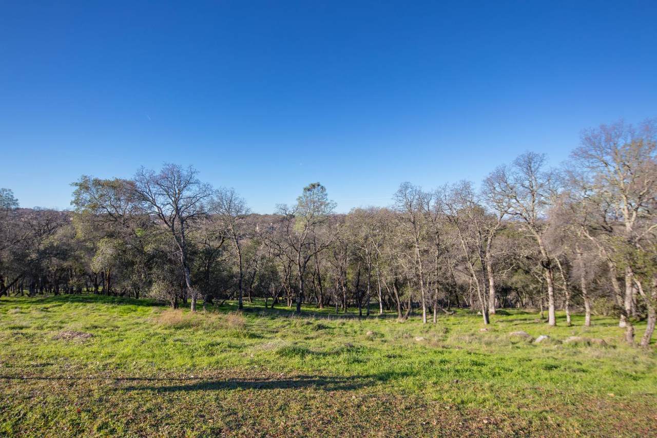 https://bt-photos.global.ssl.fastly.net/sacramento/1280_boomver_3_560961287-2.jpg