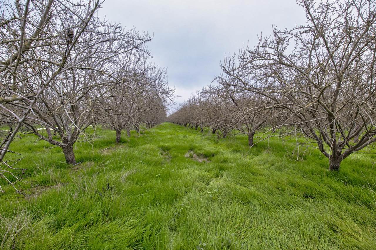 0 Road 120 - Photo 1