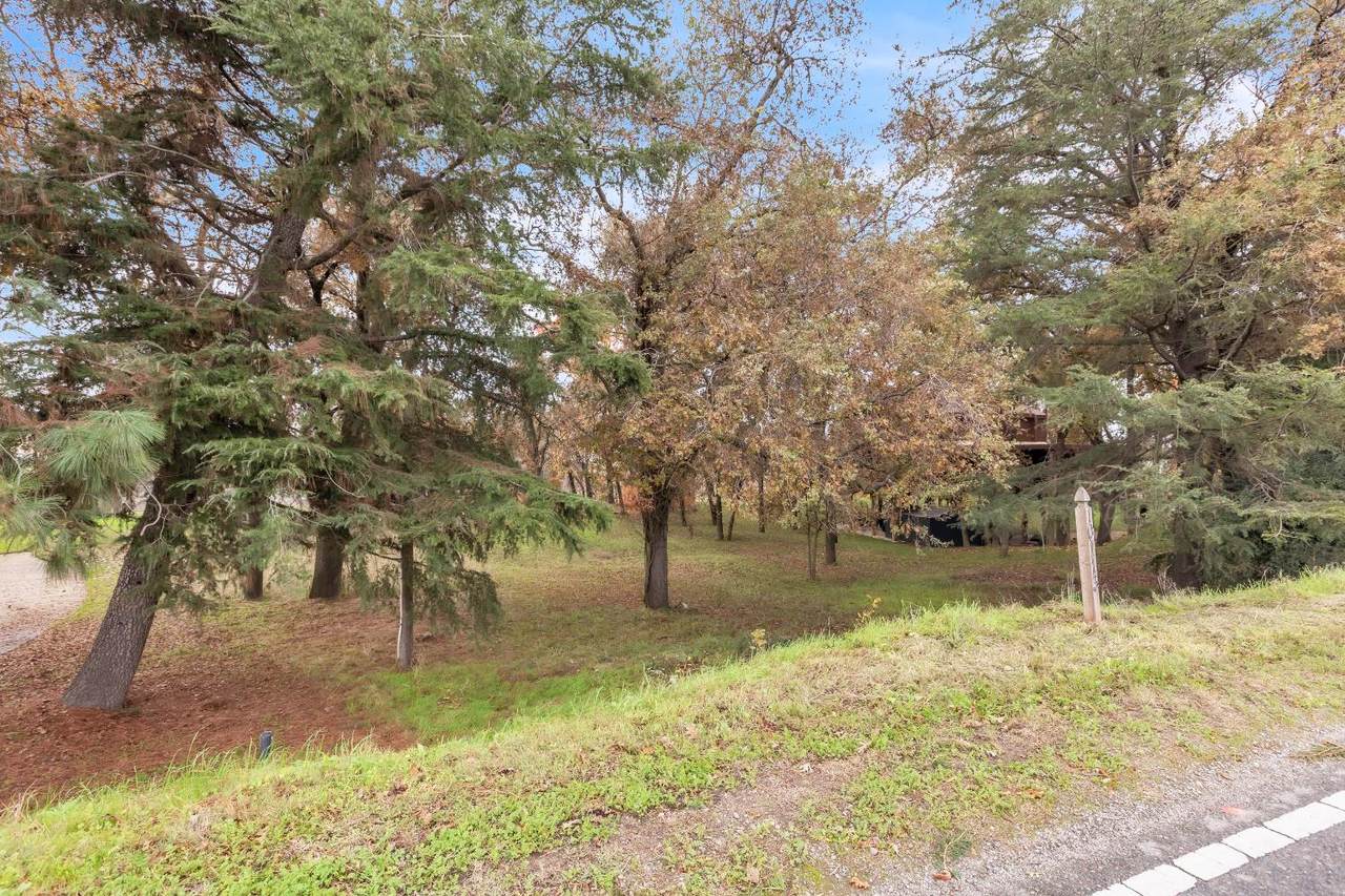 10113 Garden Highway - Photo 1