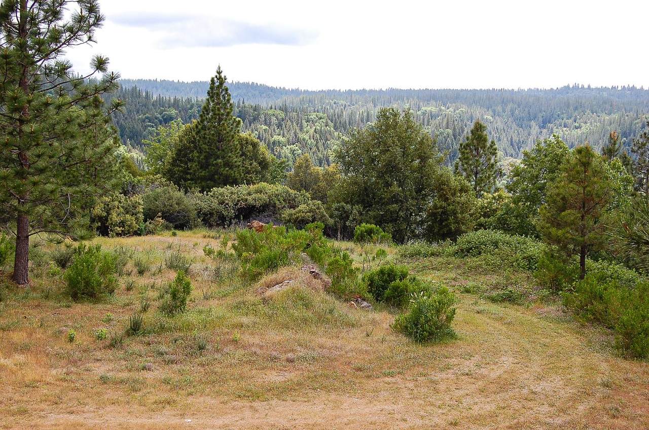2676 Silver Mountain Road - Photo 1