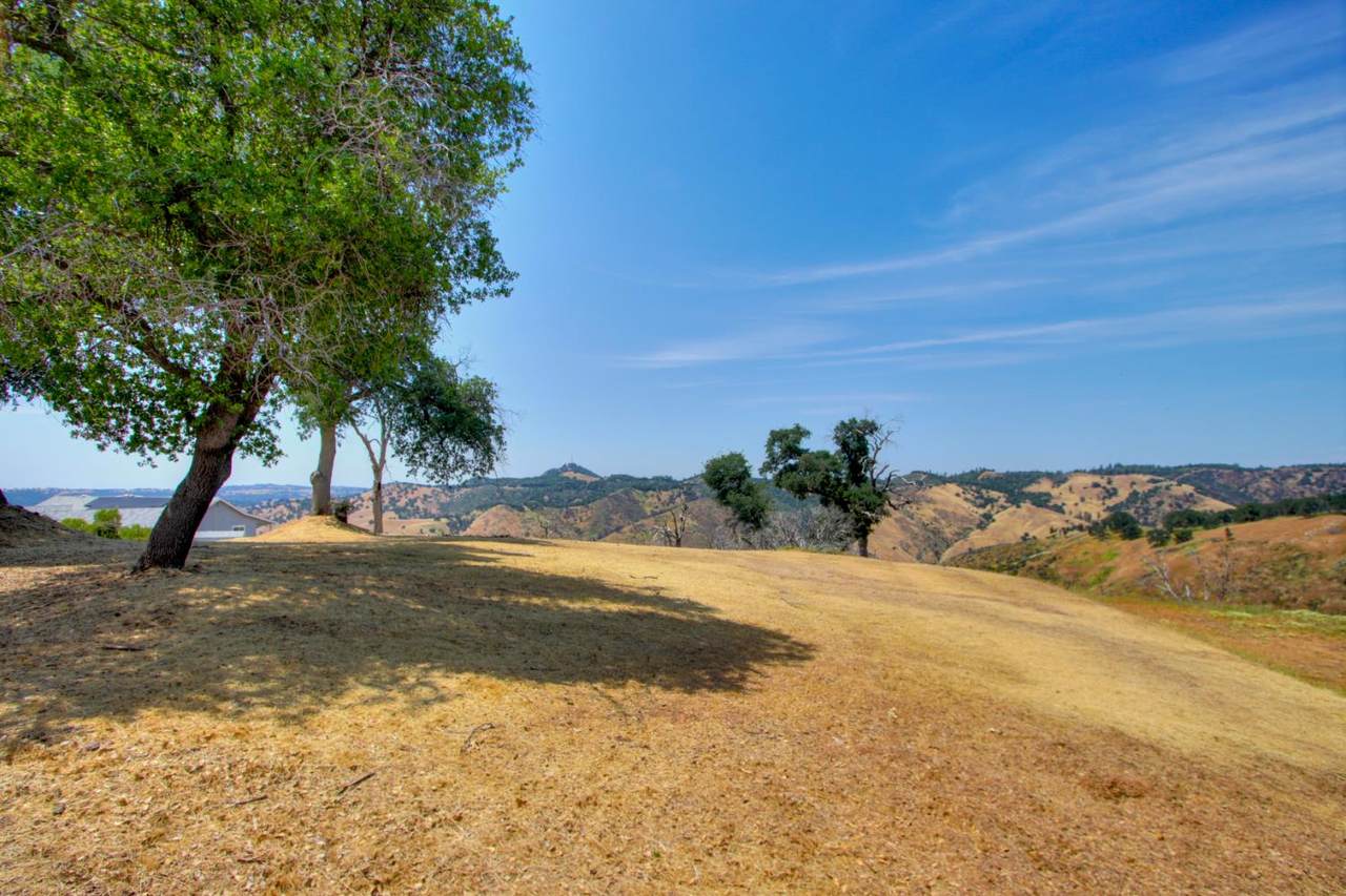 https://bt-photos.global.ssl.fastly.net/sacramento/1280_boomver_2_560963568-2.jpg