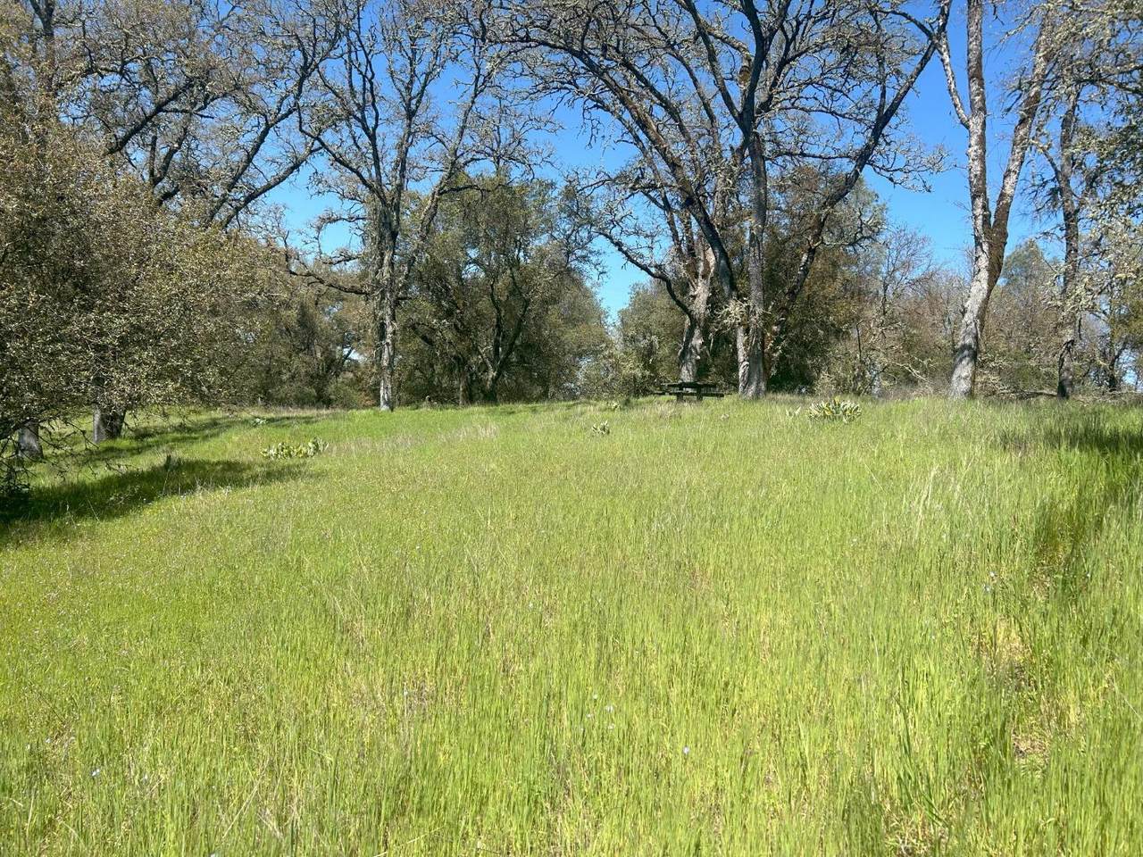 https://bt-photos.global.ssl.fastly.net/sacramento/1280_boomver_4_560964383-2.jpg