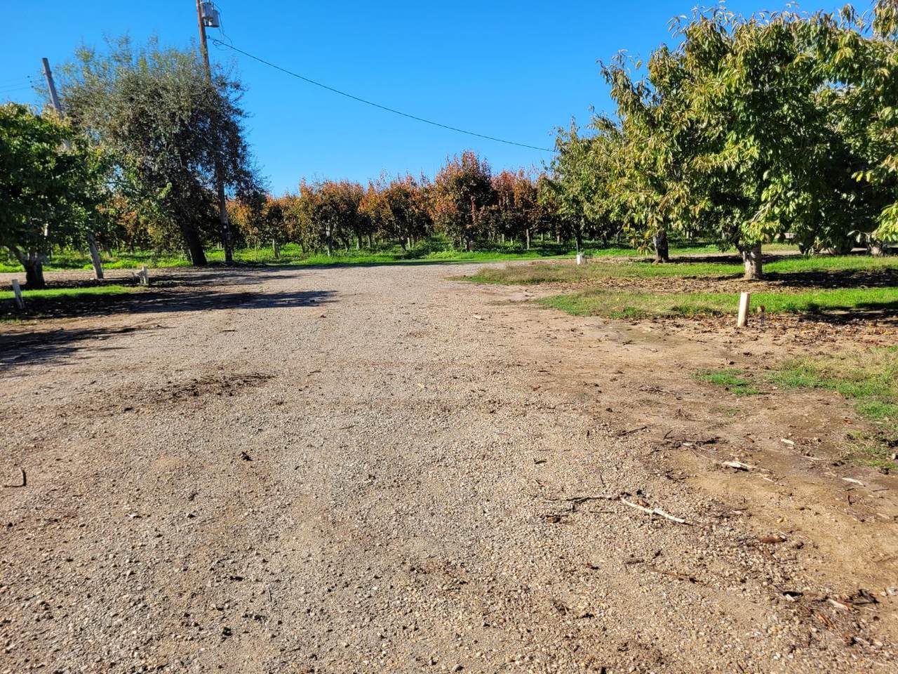https://bt-photos.global.ssl.fastly.net/sacramento/1280_boomver_2_560965933-2.jpg