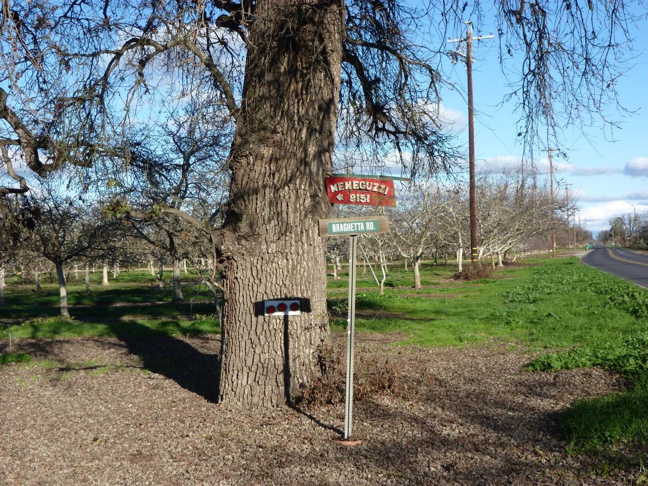 https://bt-photos.global.ssl.fastly.net/sacramento/1280_boomver_2_560965933-2.jpg