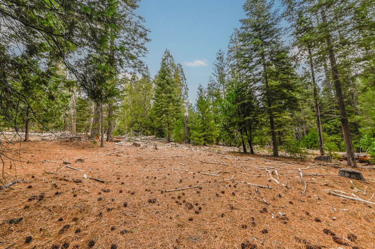 27627 Ashland Drive - Photo 1